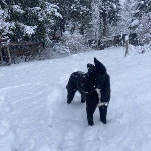 Meet your Posher, Jeremy